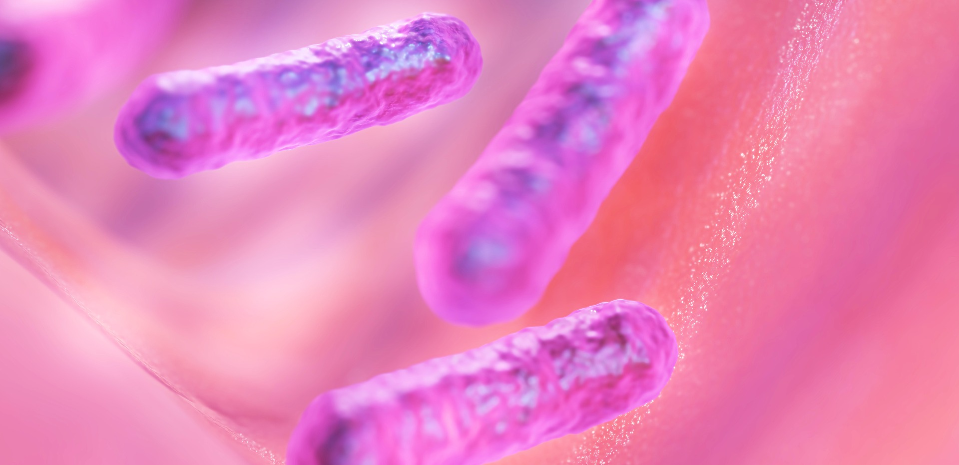 imgmidi-bacilli-7135349_1920.jpg